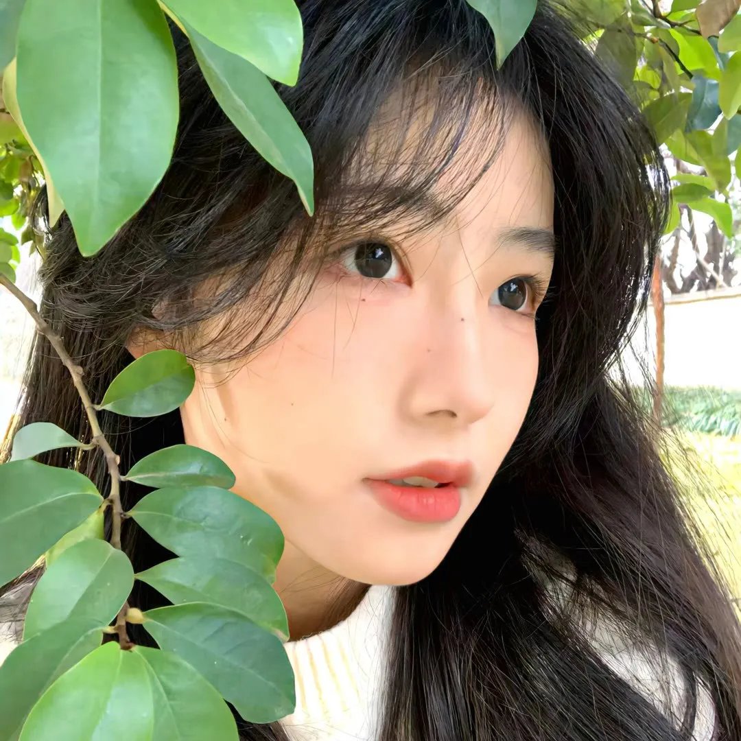 诡影幢幢 在线观看